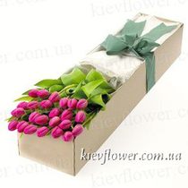 25 тюльпанов в подарочной коробке