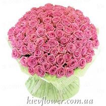 Special Offer - 101 pink roses